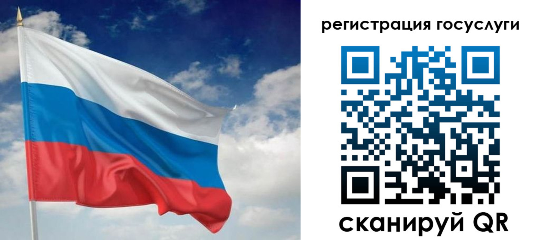 прописка гарантия в Лисках